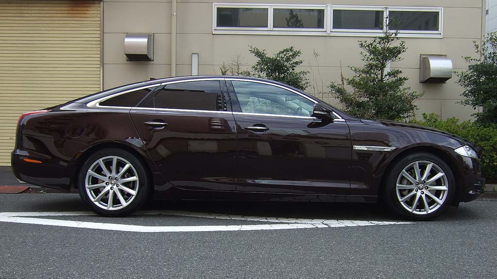 �W���K�[�w�i���O�W���A���[