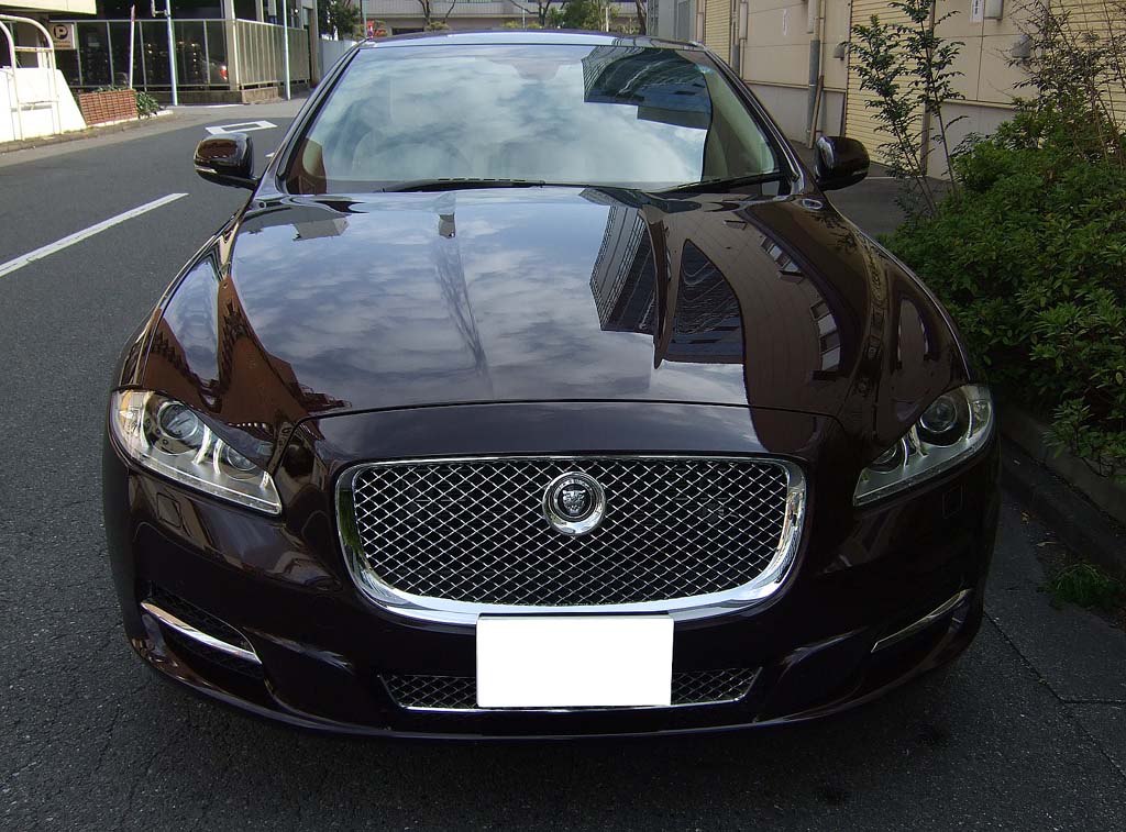 �W���K�[�w�i���O�W���A���[