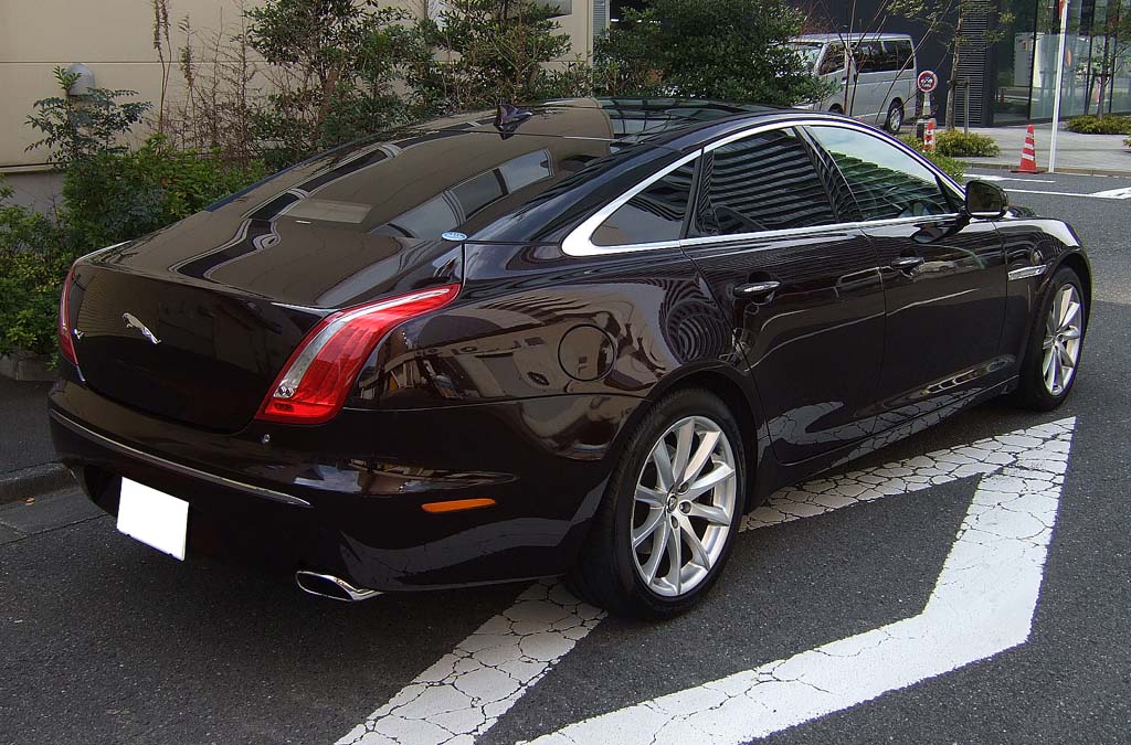 �W���K�[�w�i���O�W���A���[