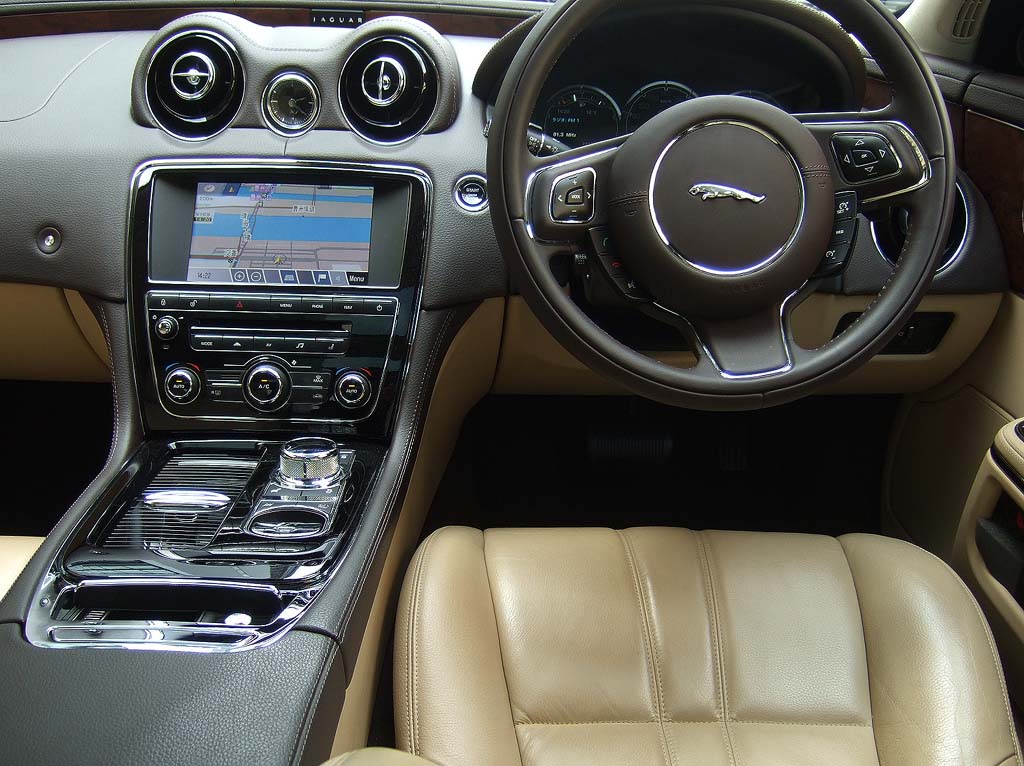 �W���K�[�w�i���O�W���A���[