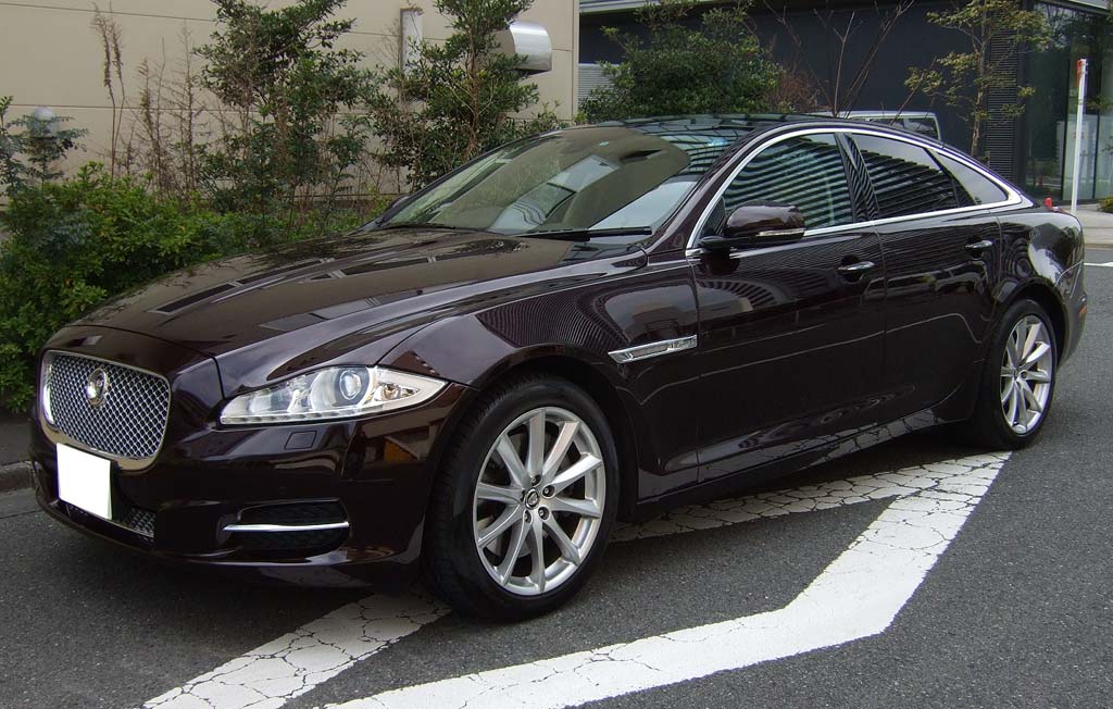 �W���K�[�w�i���O�W���A���[