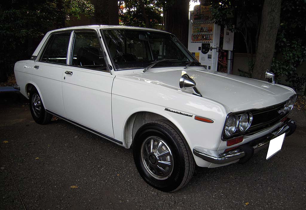 �_�b�g�T���E�u���[�o�[�hP510