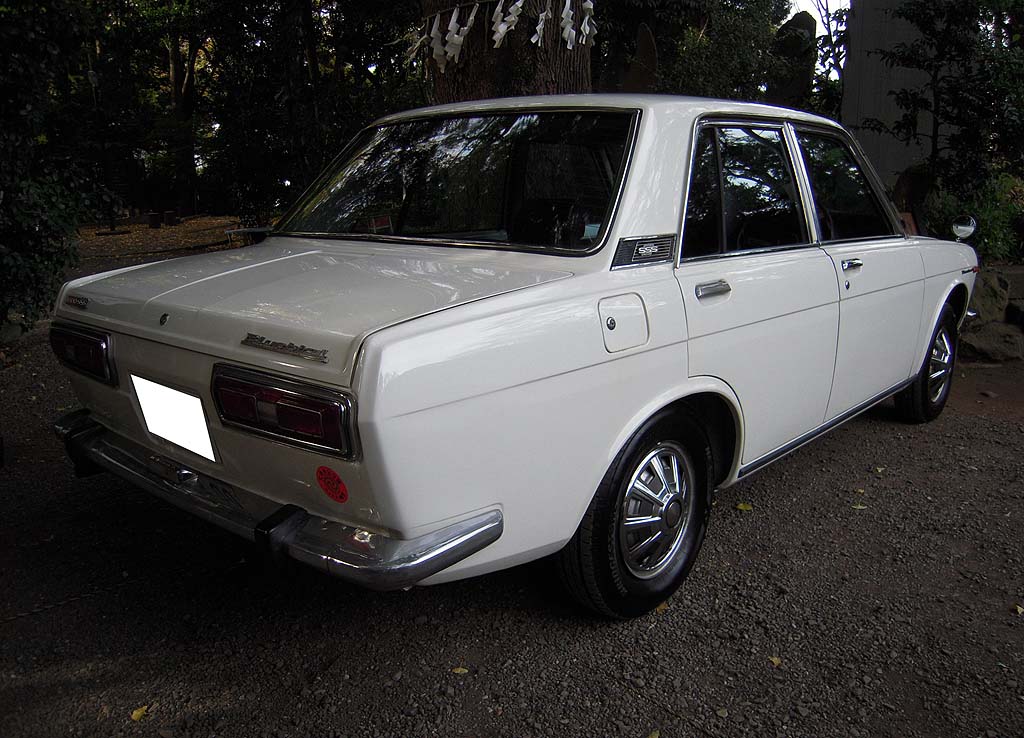 �_�b�g�T���E�u���[�o�[�hP510