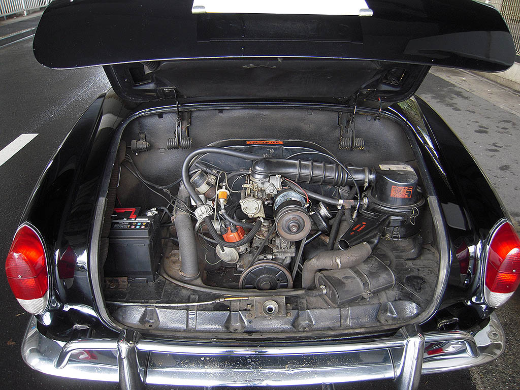 �t�H���N�X���[�Q���@�J���}���M�A