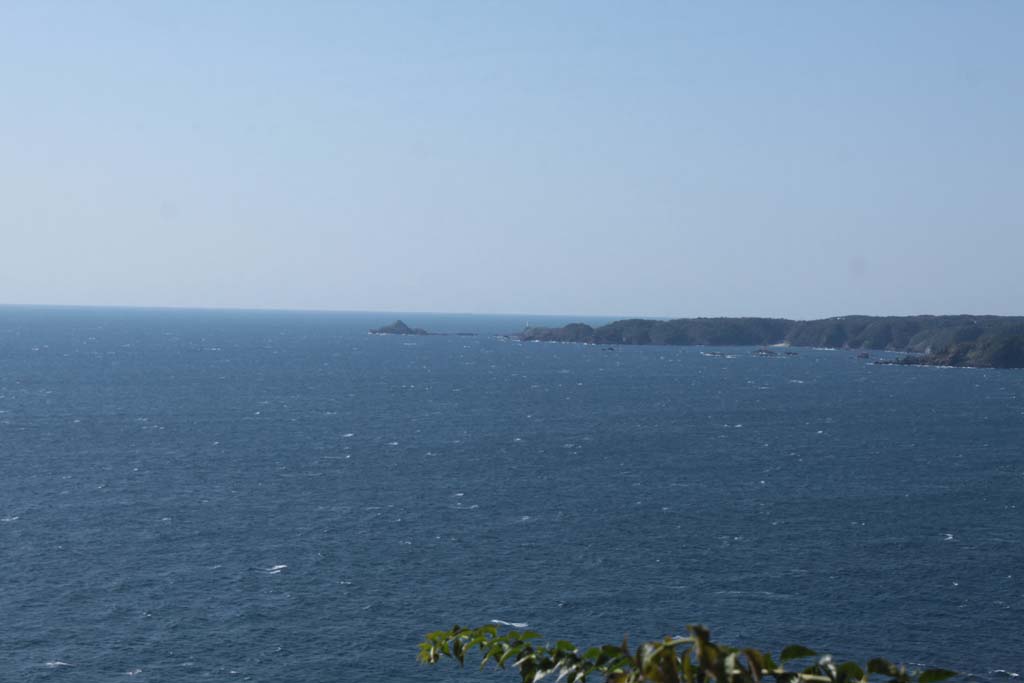 �ɓ�����