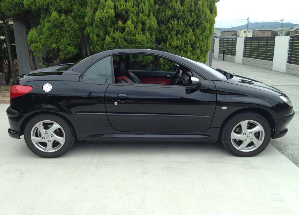 �v�W���[206CC