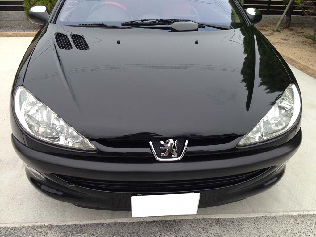 �v�W���[206CC