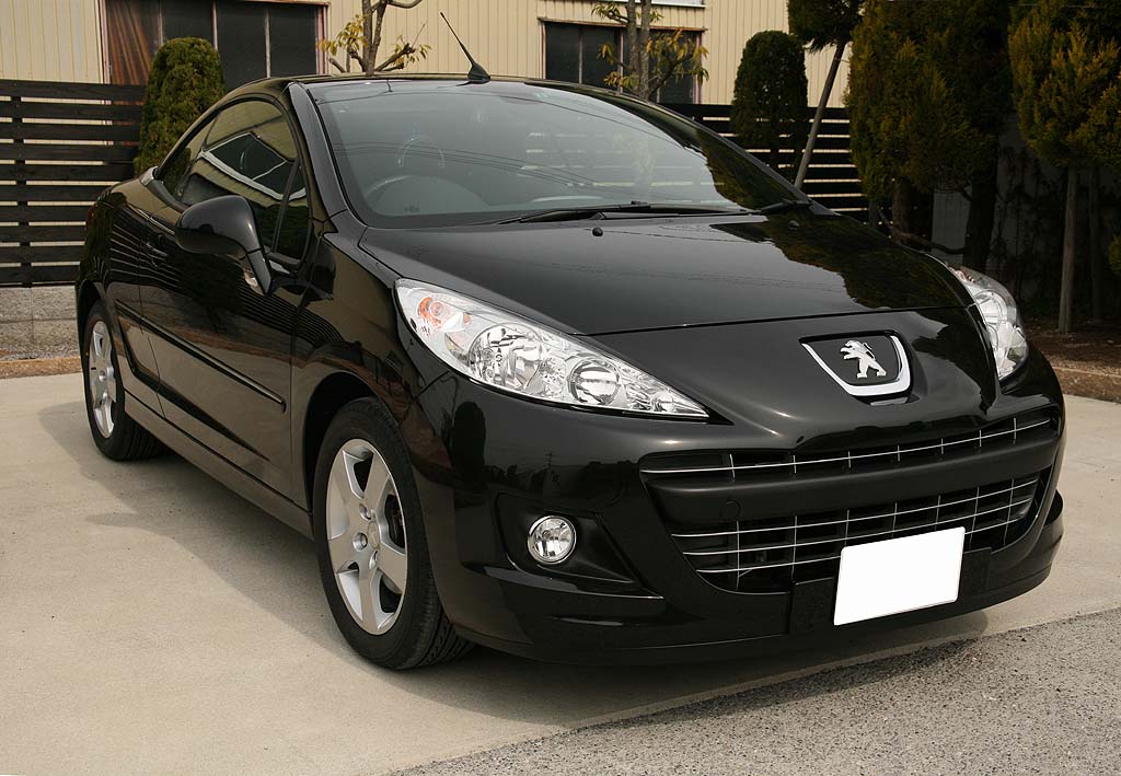 �v�W���[207CC