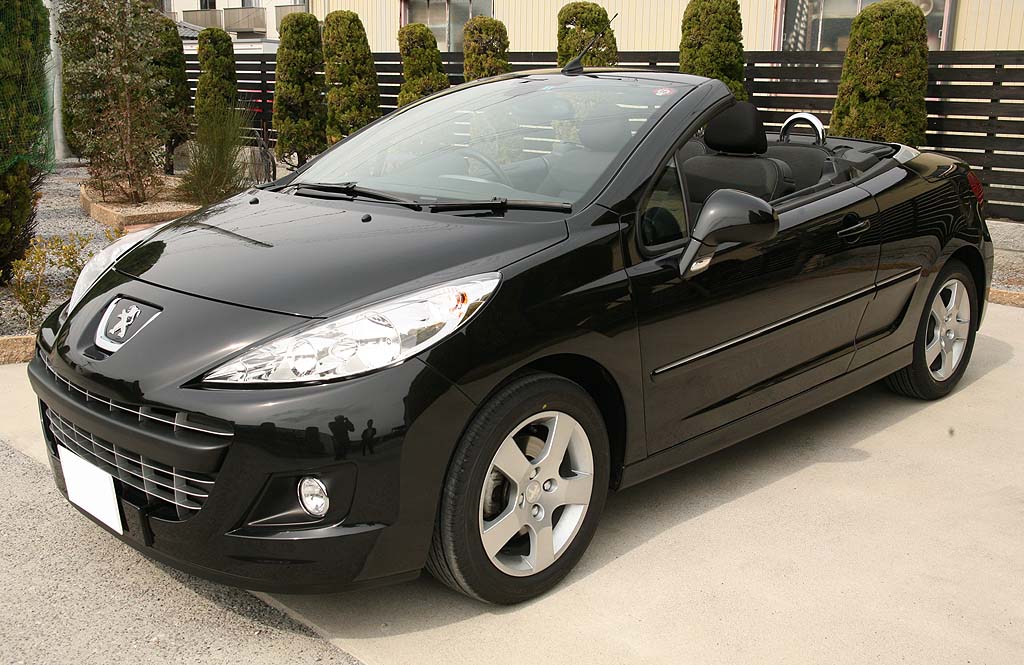 �v�W���[207CC