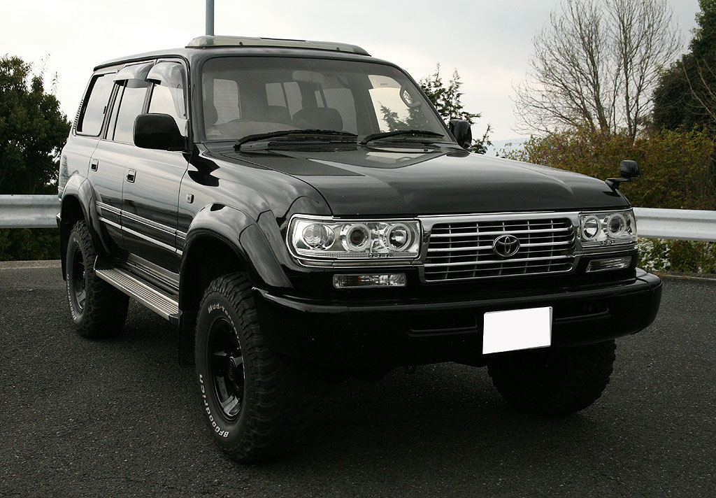 �����N��80�f�B�[�[���^�[�{