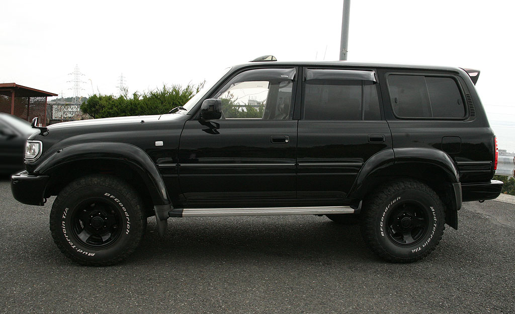 �����N��80�f�B�[�[���^�[�{