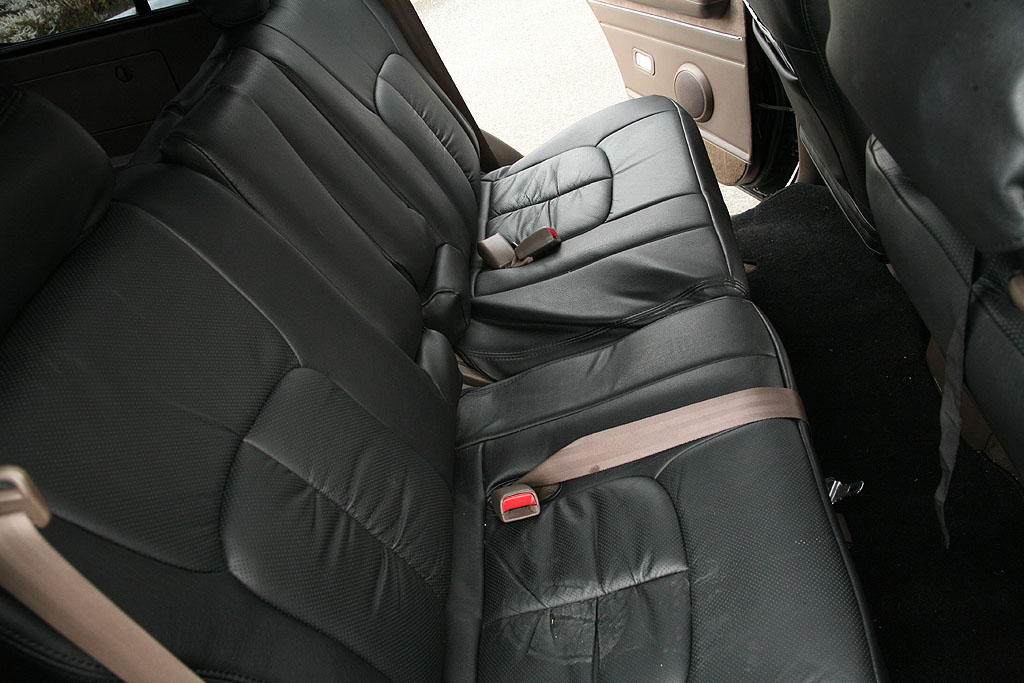 �����N��80�f�B�[�[���^�[�{