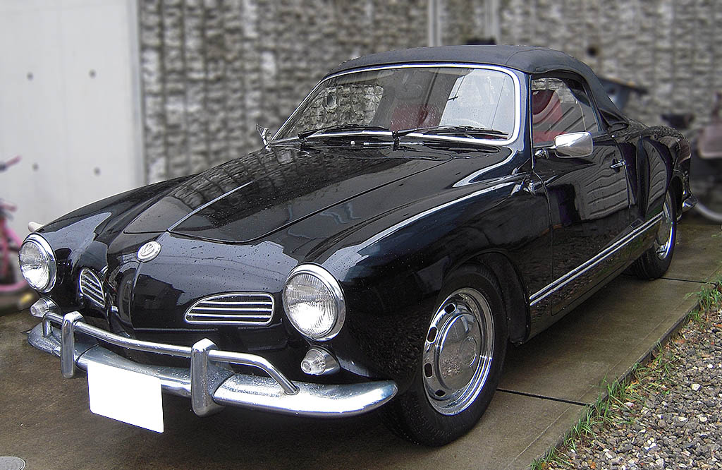 �t�H���N�X���[�Q���@�J���}���M�A