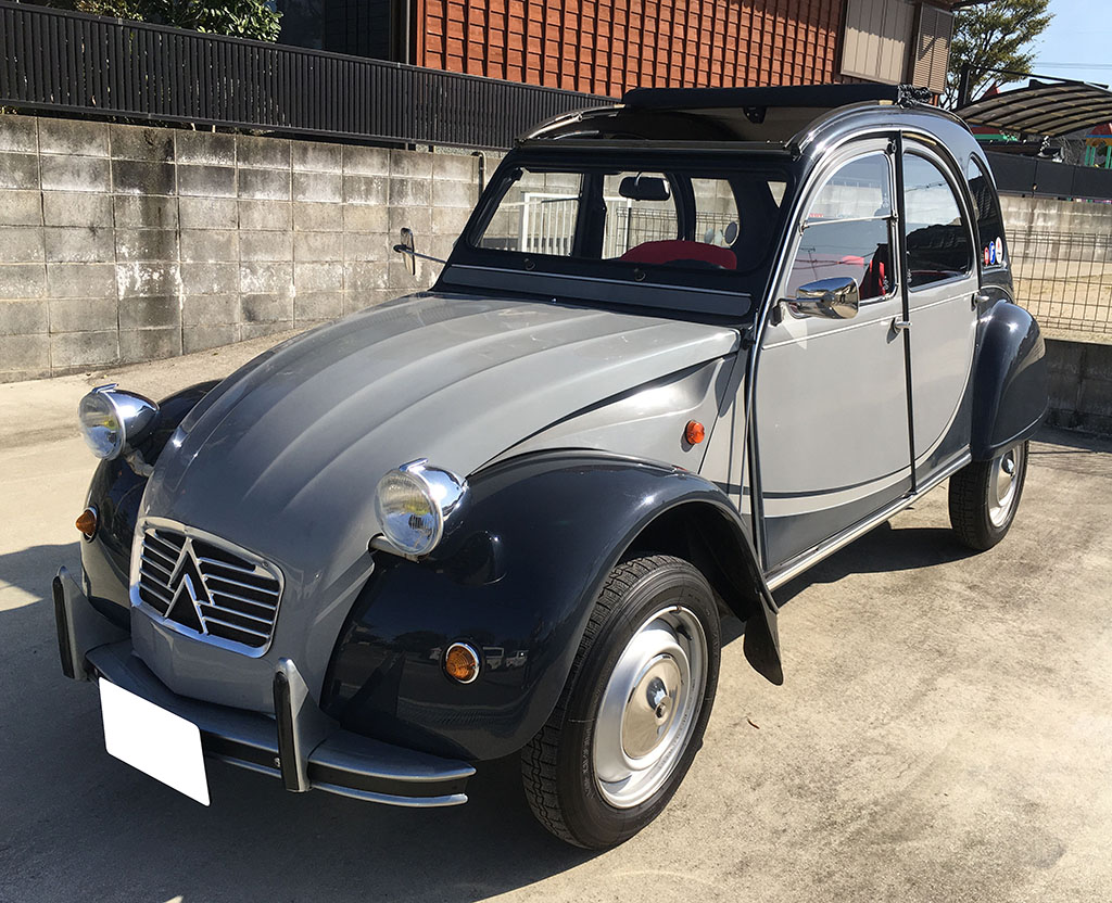 �V�g���G���QCV �`���[���X�g��