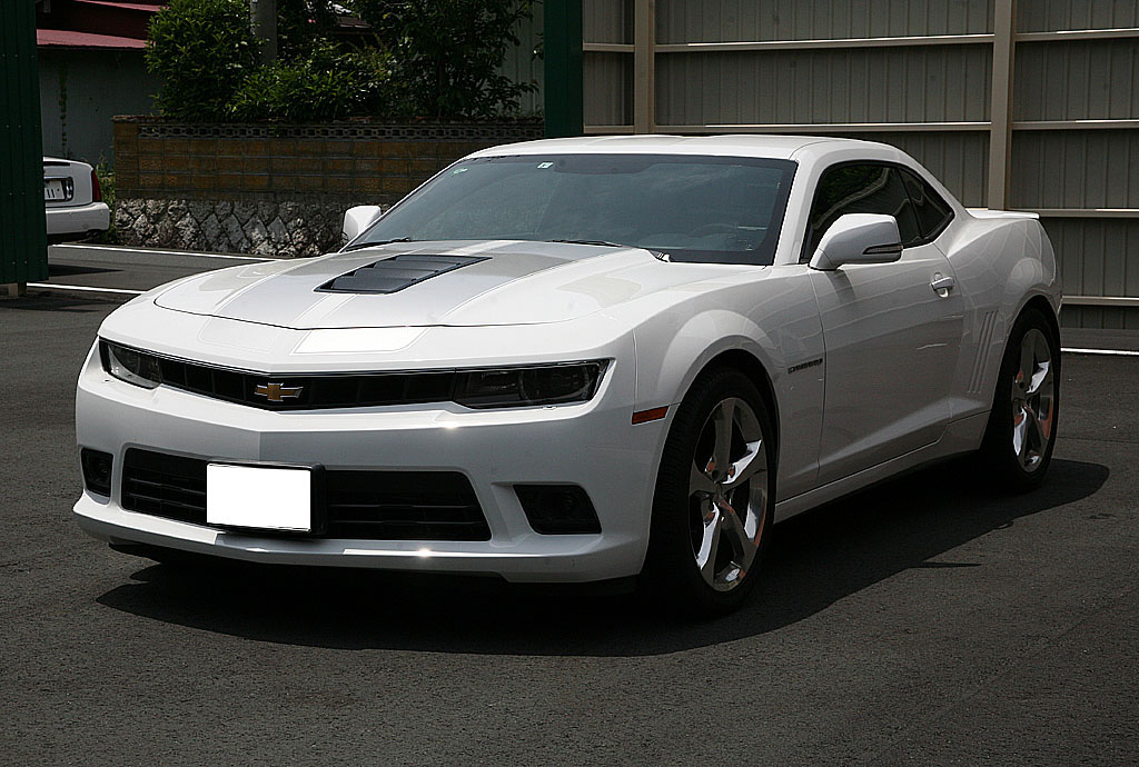 �V�{���[ �J�}�� SS