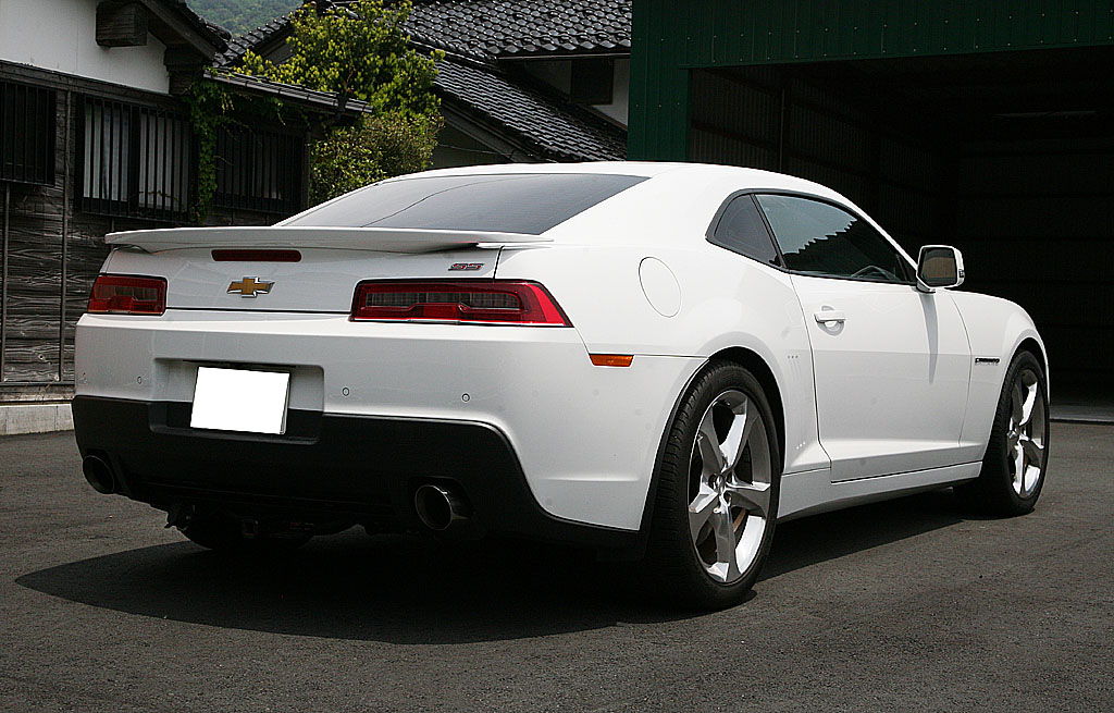 �V�{���[ �J�}�� SS