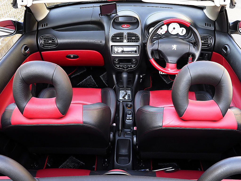 �v�W���[ 206CC